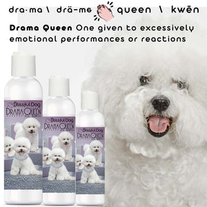 Bichon Frisé grooming