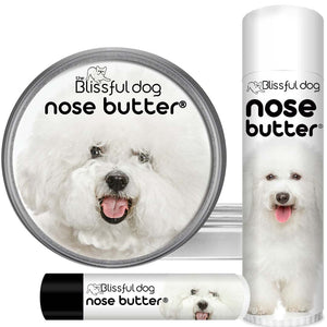 help for Bichon Frise dry nose