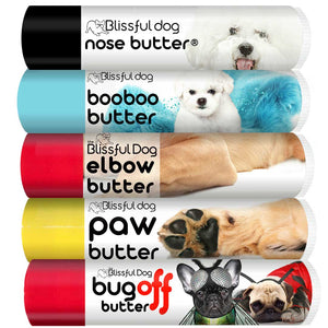 bichon frise gift