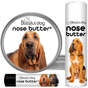 bloodhound dry nose help