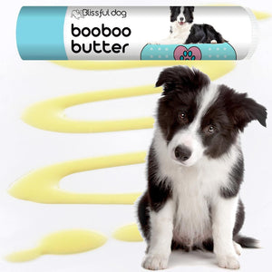 border collie skin balm