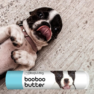 boston terrier skin care balm
