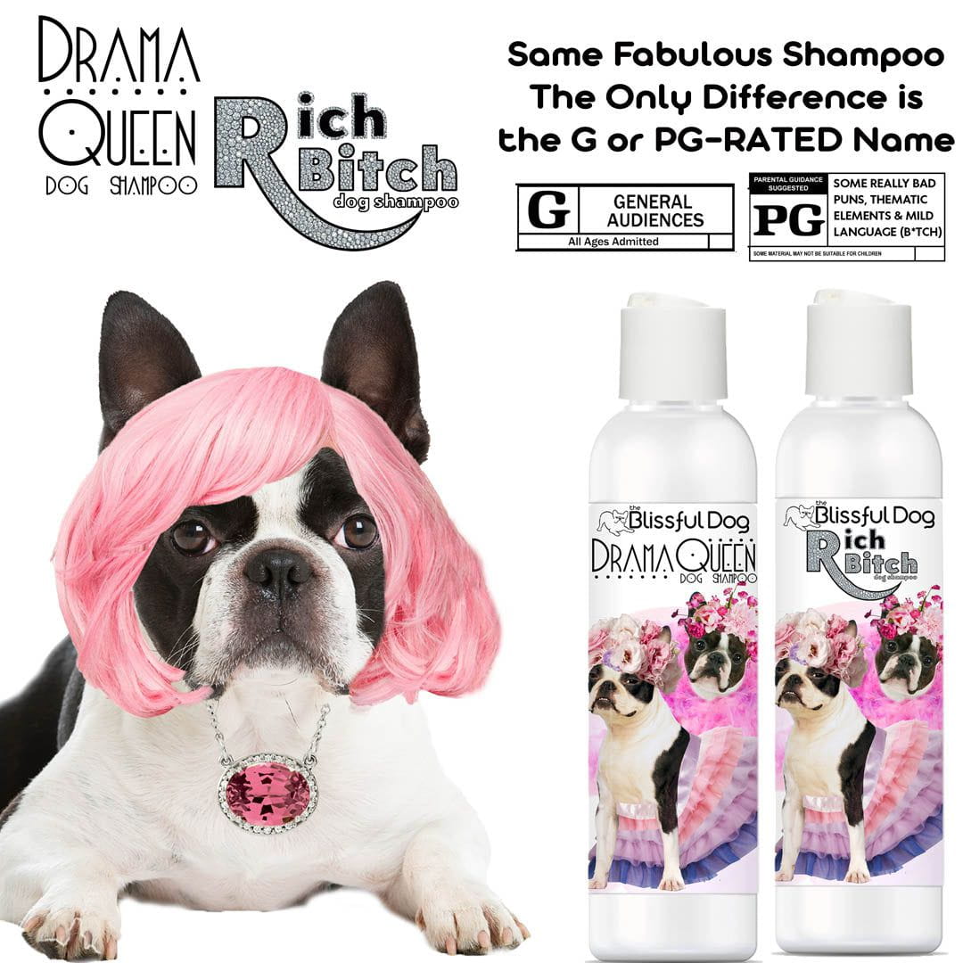 Boston Terrier shampoo