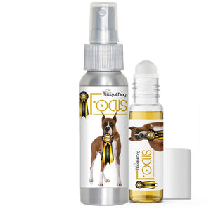 boxer focus dog aromatherapy