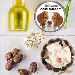 Brittany dog nose balm