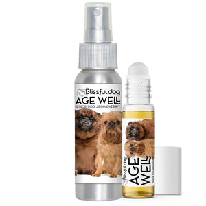 senior brussels griffon