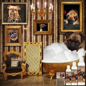 Brussels Griffon luxury shampoo