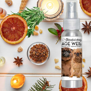 caring for senior brussels griffon