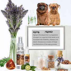 senior brussels griffon care