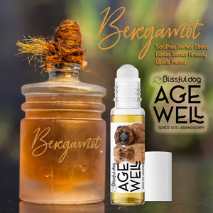 senior brussels griffon aromatherapy