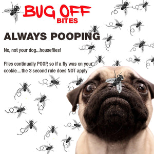 bug off faqs
