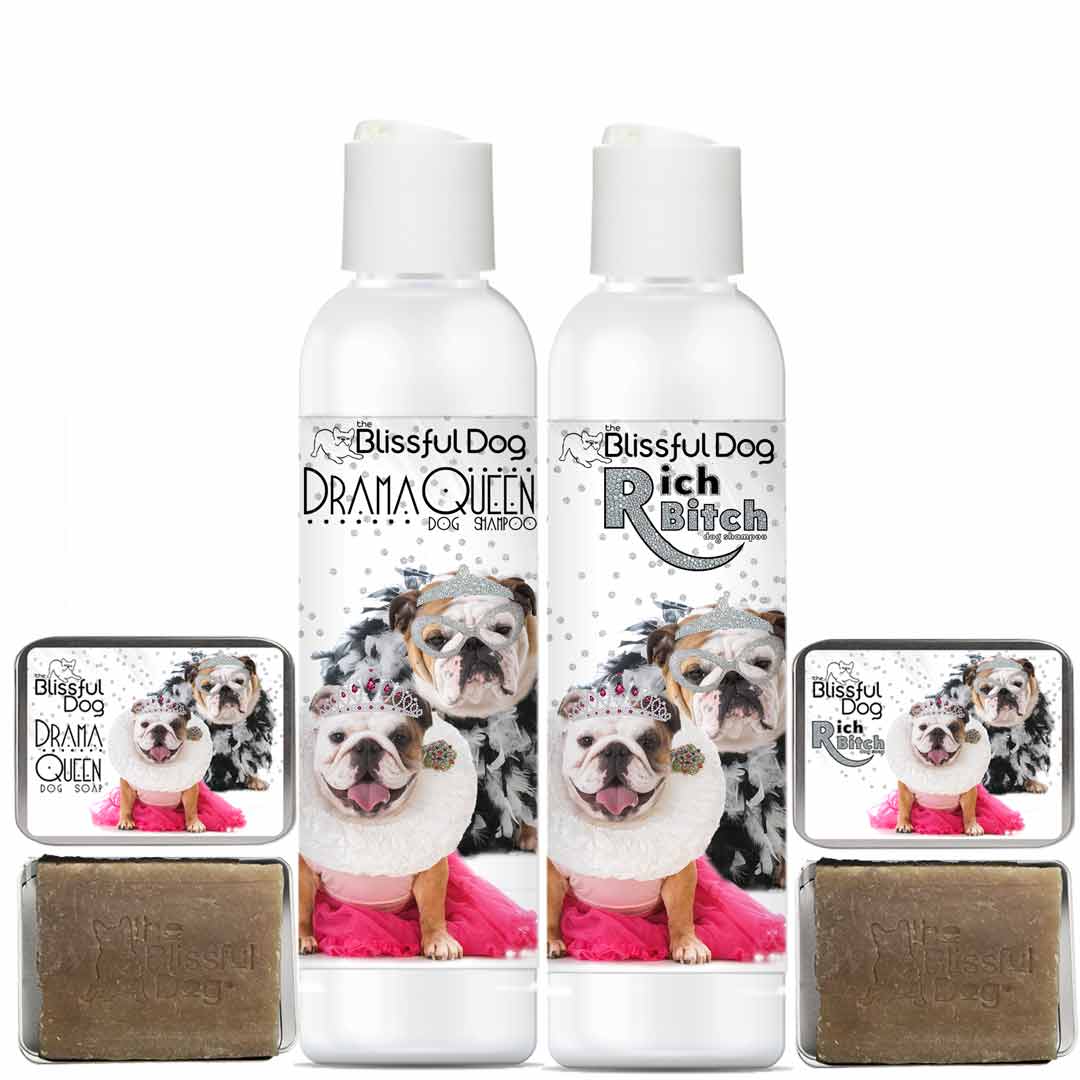 bulldog drama queen shampoo