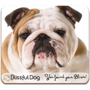 bulldog gift