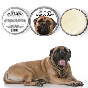 bullmastiff has dry nose