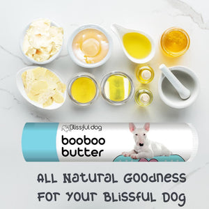 bull terrier skin