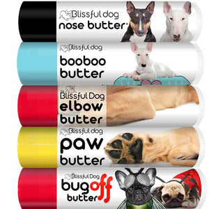 bull terrier grooming