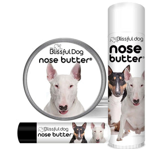 bull terrier has dry nose nose