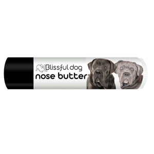 Cane Corso Nose dryness