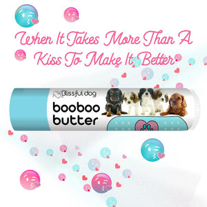 Cavalier King Charles Spaniel Tube Combo