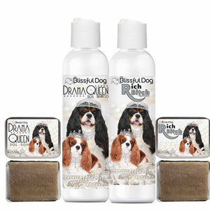 Cavalier King Charles Spaniel shampoo