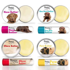 Chesapeake Bay Retriever Skin Care