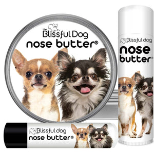 Chihuahua dry Nose help