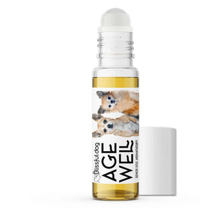 senior chihuahua aromatherapy