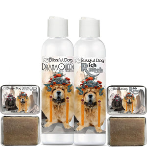 chow shampoo