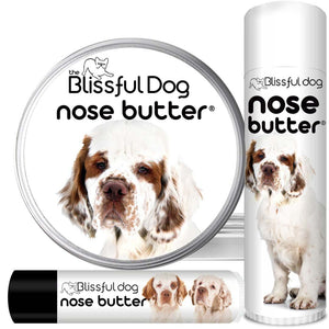 clumber spaniel dry nose help