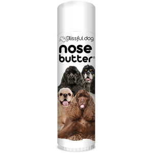 Cocker Spaniel Nose is dry