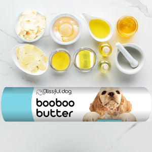 buff cocker spaniel