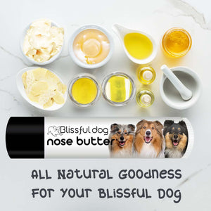 collie nose care