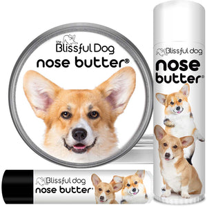 corgi nose is dry