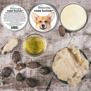 corgi dry skin