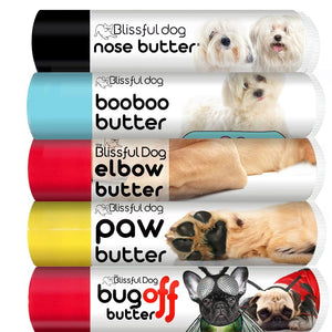 Coton de Tulear skin care