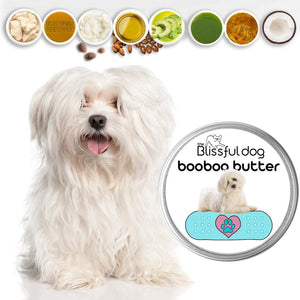 Coton de Tulear Custom Combo