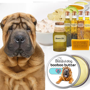 chinese shar-pei means sandy skin