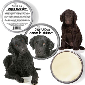 Curly-Coated Retriever nose butter
