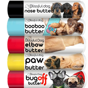 dachshund skin care