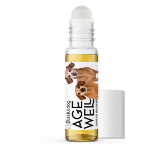 age well senior dachshund aromatherapy