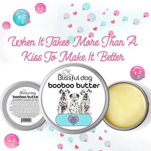 dalmatian itchy skin salve