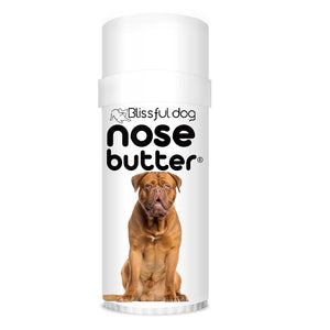 Dogue de Bordeaux Nose chapped