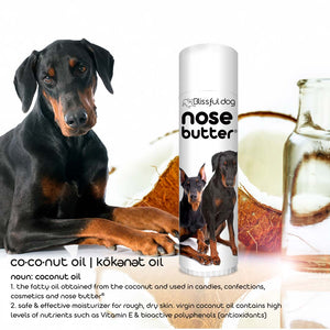 doberman pinscher nose is crusty