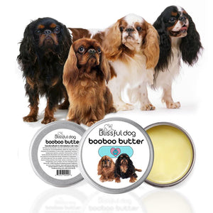 english toy spaniel itchy skin