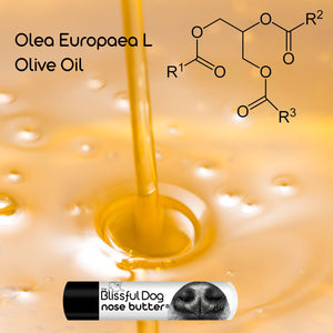 dog nose butter
