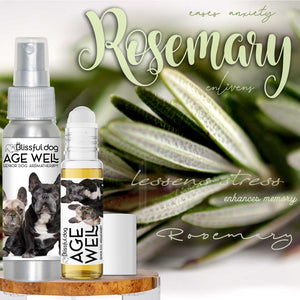 frenchie senior dog aromatherapy