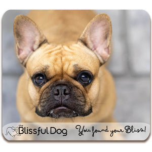french bulldog gift