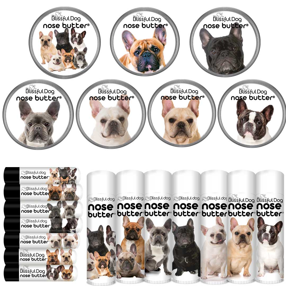 what colors french bulldogs