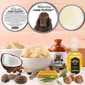 Field Spaniel dry nose