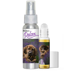 Fila Brasileiro Afraid